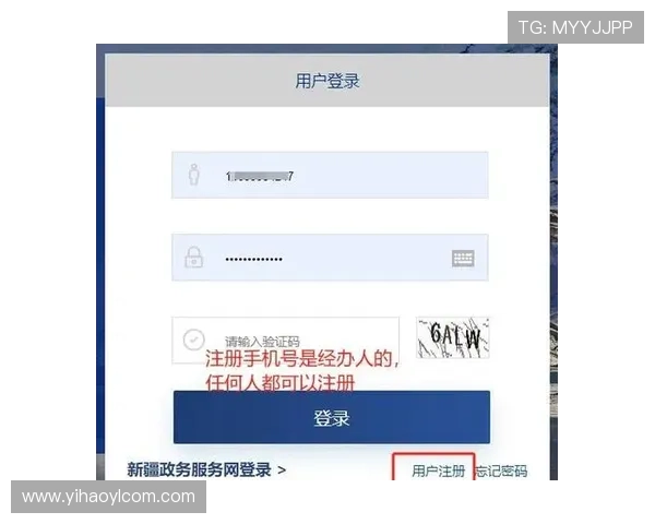 壹号注册平台:全面提升企业注册效率的专业服务平台
